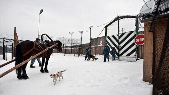 Олег Ковров-"Музыка, рожденная в неволе" смотреть онлайн