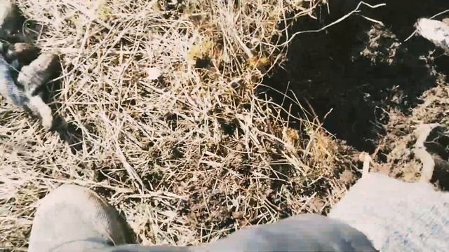 ОТКРЫЛИ СЕЗОН МЕТАЛЛОКОП 2024, ЗАРАБОТАЛИ 5000₽ БЕЗ ВЛОЖЕ смотреть онлайн