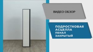 ТЭКС Видео обзор. Подростковая Асцелла. Пенал закрытый.