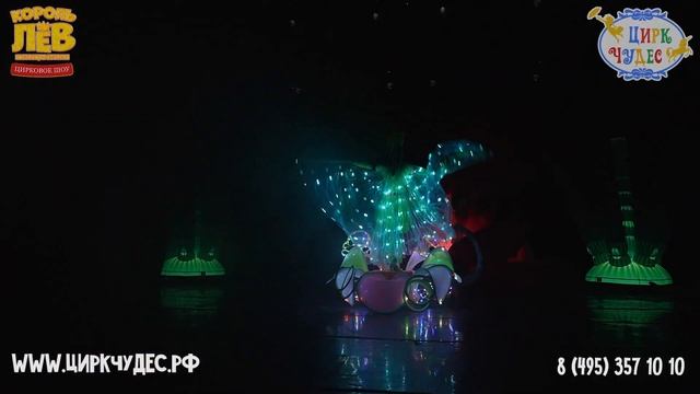 Цирковое шоу "Король Лев. Настоящая история" смотреть онлайн