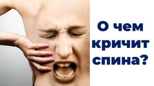Как часто Ваша спина напоминает о себе?