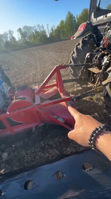 Клубника организовалась за неделю. Взяли в аренду гря? смотреть онлайн