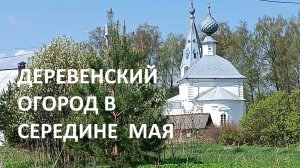 Купили заброшенный участок//что с ним стало?//работы на огороде в середине мая// мудрая липа.