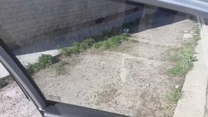 Каркасные шторки HYUNDAI Solaris 1