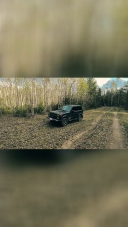 Почему я выбрал Ниву для лесных поездок вместо квадроцикла