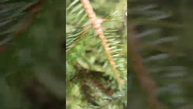 Лежак 24 из пеноплэкса готов, ждём весны. смотреть онлайн