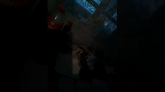 Постелила для вина тряпки , чтобы не испачкать ковёр
