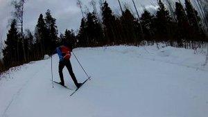 Поездка в Дёмино. Трасса дёминского лыжного марафона