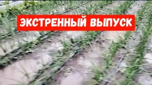 Экстренный выпуск/19 мая/Нас затопило