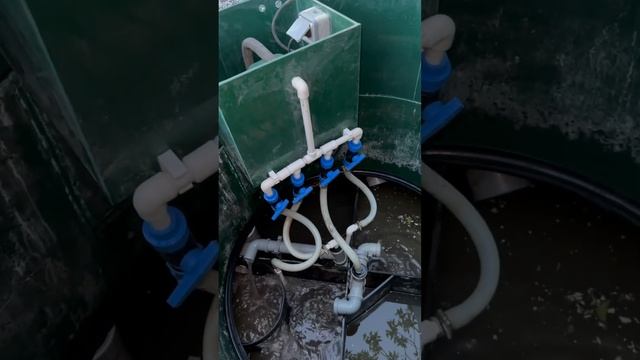 Евролос про, доработки смотреть онлайн