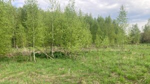 Участок 10 соток, квартал Вашутино, Химки