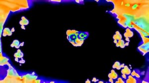 Шапка Теле Программы 10 Самых Горячих Клипов Дня in My G Maj