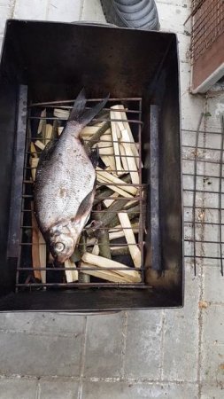 Коптим леща на даче!!! Остался лещ с прошлой рыбалки, решили закоптить на ольхе! #shorts