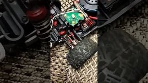 обзор великов