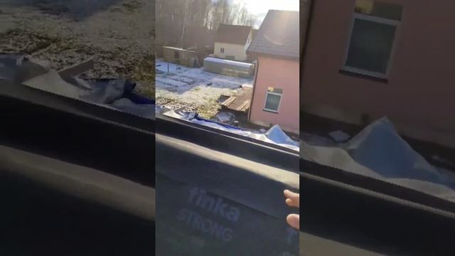 Кровля в каркасном доме #shorts #StroySoMnoy🤝⚒️ #каркасныйдо? смотреть онлайн