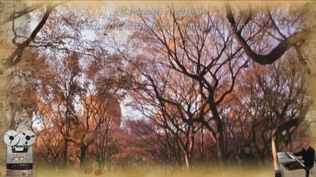 «Улетели листья»
Виктор Салтыков и группа"Форум"