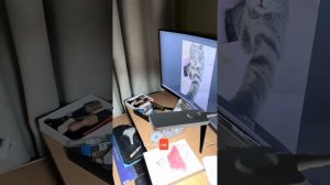 Дина Крючкова делает игрушки из валяной шерсти. Копир?
