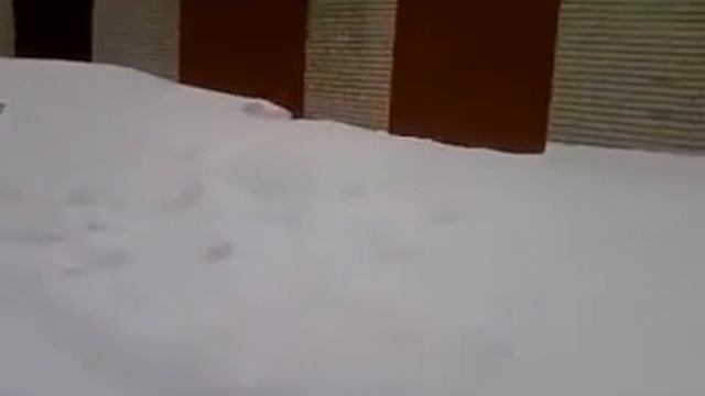 Снежку привалило смотреть онлайн