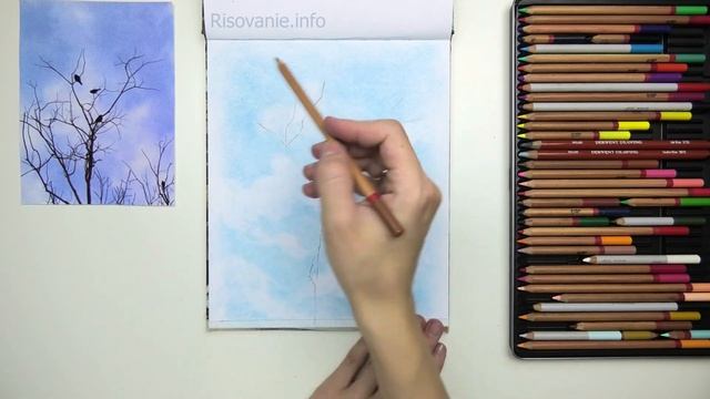 Птицы на ветках. Демоверсия урока по рисованию цветны? смотреть онлайн