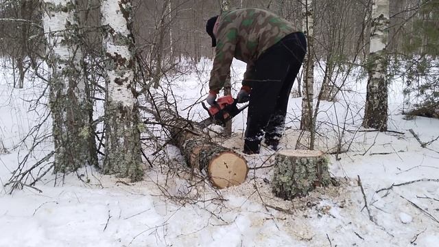 Восстановленный Patriot 5218 , работаем в лесу!!! смотреть онлайн