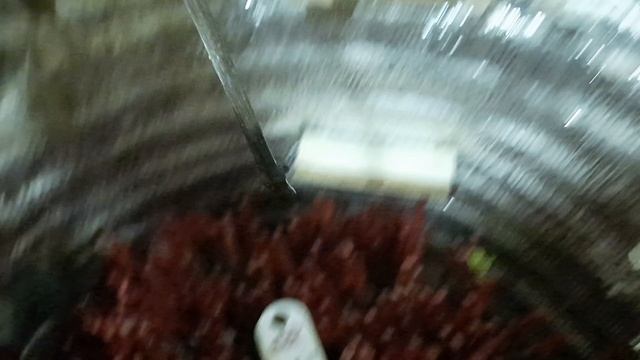 Для образования корней на привитых черенках, включае? смотреть онлайн