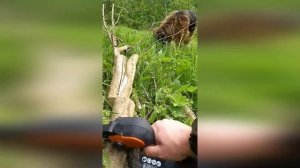 Аккумуляторная цепная пила Worx WG324E