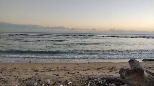 Проверка камеры. смотреть онлайн