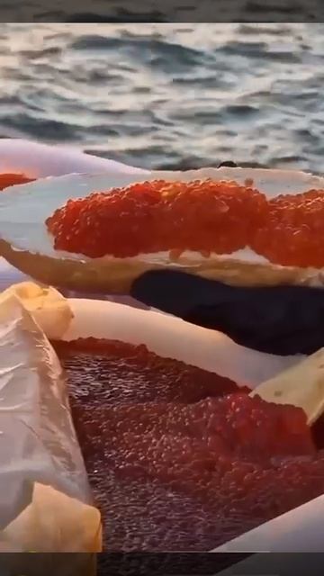 тест икры/красная икра/праздник для души смотреть онлайн