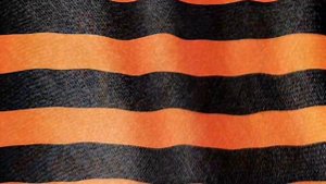 «НАШ БЕССМЕРТНЫЙ ПОЛК» Областной патриотической акции «МЫ ПОМНИМ! МЫ ГОРДИМСЯ!».