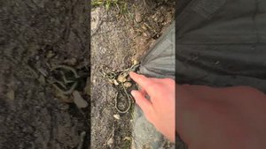 Второй обзор палатки geotech burbot 3 pro после обильных дожде?