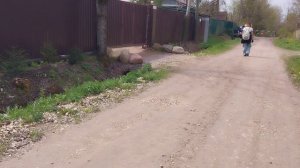 Прошлись по садоводству/Опять топим и сажаем/Покос одуванчиков