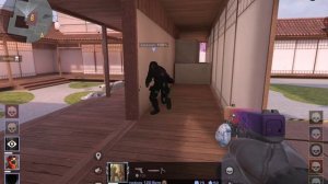 играю с другом в standoff 2