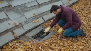 Обустройство участка осенью - Советы разные