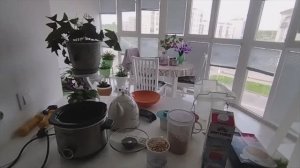 Чищу и готовлю речную рыбу/Немного покупок/Жизнь на пенсии в Великом Новгороде/Дневник Натальи