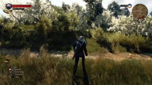 The Witcher 3 | Неприметный сундук в Велене