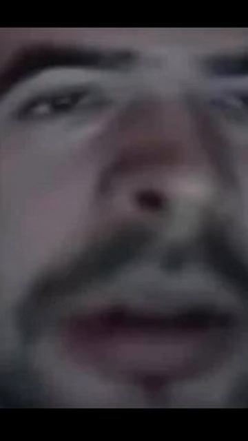 Отсылка на Stray 228 в Атомик Харт? Atomic heart Shorts