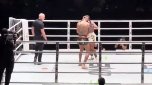 Сават против муай-тай и кикбоксинга. #сават #savate #муайт?