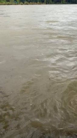 Паводковая обстановка в Абазе