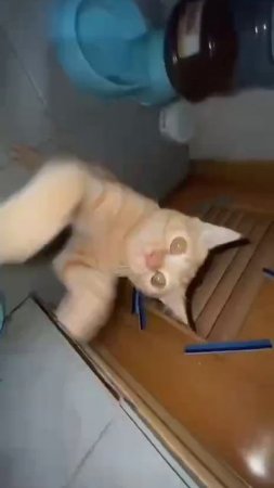 хехех