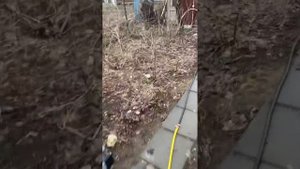 Откачал выгребную яму или септик насосом малышом за 4т