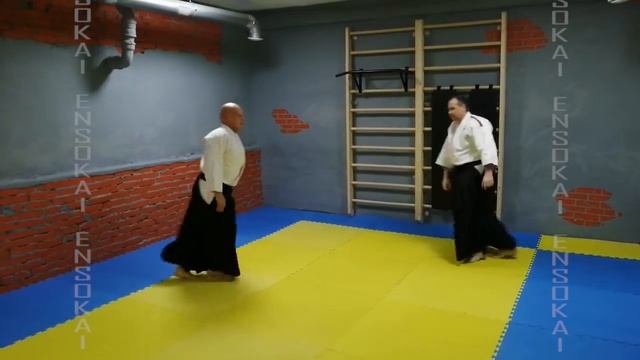 Коричневый пояс 1 Кю цуки маваши ириминагэ смотреть онлайн