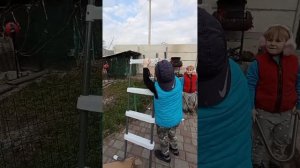 Сборка лестницы для бассейна intex