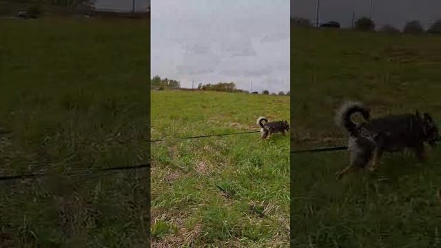 rutube.ru