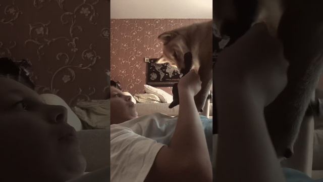 ЗОЛОТАЯ ПЕРЧАТКА смотреть онлайн