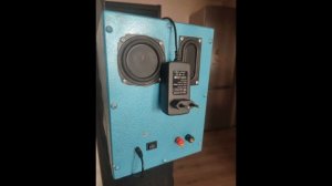 Самодельные автономные блютуз колонки системы TWS. А-ля