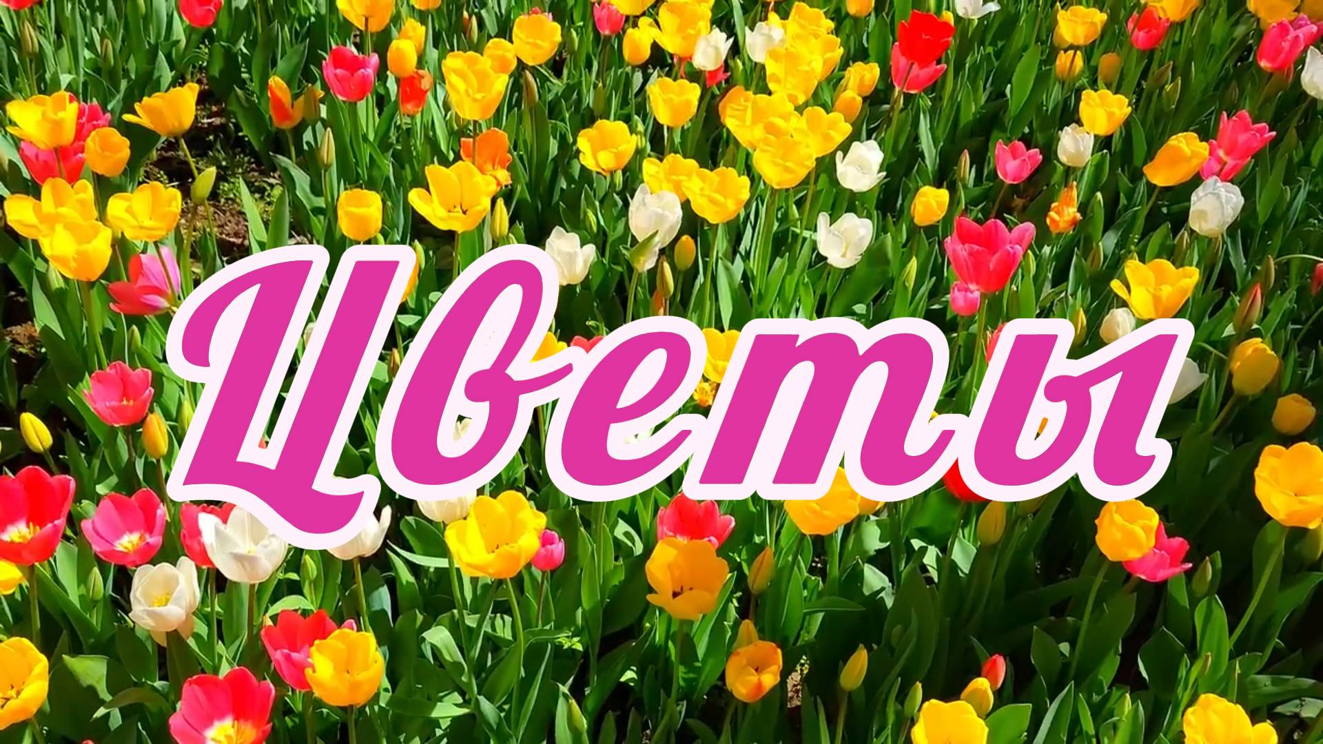 Цветы | НейроМузыка