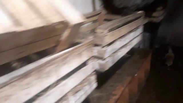 ВЕСНА В ЯНВАРЕ, САЖАЕМ ЧЕСНОК. КОМПОСТНЫЙ ЯЩИК СВОИМИ ? смотреть онлайн