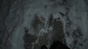 Все плюсы и минусы ECCO ULT-TRN отходил сезон #eccoshoes