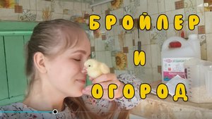 Цыплята-бройлеры приехали! + Огородные радости | Деревенская жизнь