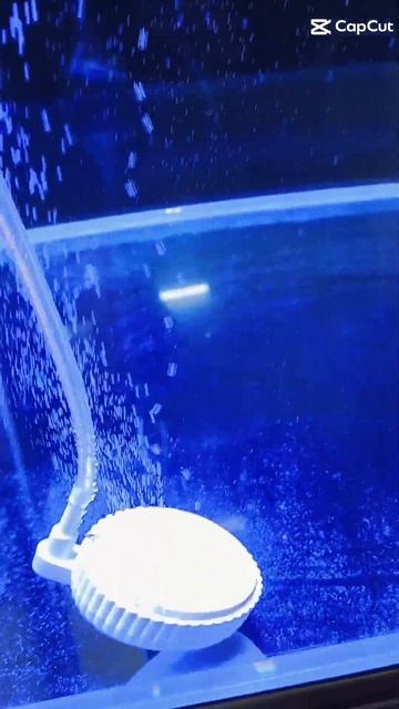 Бесшумный компрессор Nepall для аквариума #аэрация #бесш смотреть онлайн